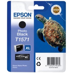 Epson T1571 Negro Photo Cartucho de Tinta Original - C13T15714010