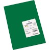 Canson Guarro Pack de 50 Cartulinas Iris A4 de 185g - 21x29.7cm - Color Verde Amazonas