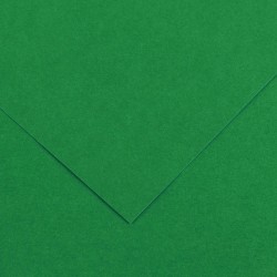 Canson Guarro Pack de 25 Cartulinas Iris A4 de 185g - 50x65cm - Color Verde Abeto