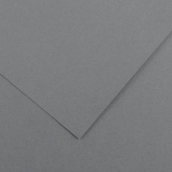 Canson Guarro Pack de 25 Cartulinas Iris A4 de 185g - 50x65cm - Color Gris Plomo