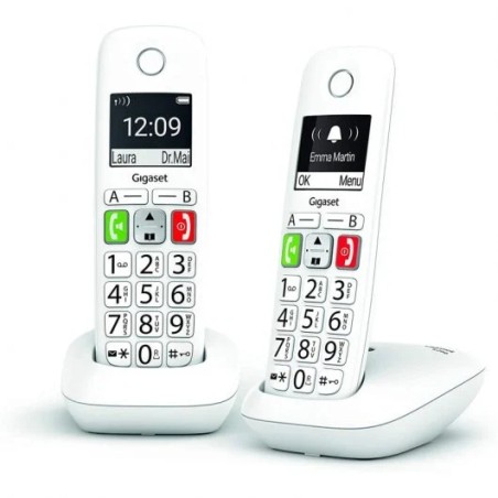 Gigaset E290 Duo Telefono Inalambrico Dect + 1 Supletorio - Pantalla Grande en B/N - Teclas con Numeros Grandes - Volumen con Fu
