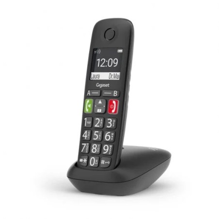 Gigaset E290 Telefono Inalambrico Dect - Pantalla Grande en B/N - Teclas con Numeros Grandes - Volumen con Funcion Amplificador 