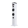NGS Sky Charm Torre de Sonido Bluetooth 50W - Mando a Distancia - Pantalla LED - USB, Radio FM, Aux In y Entrada Optica TV - Car