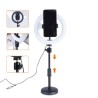 XO BGD002 Pack Youtuber Anillo de Luz 20cm de Diametro con Tripode de Mesa hasta 27.5cm con Soporte para Smartphone - Mando a Di
