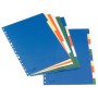 Esselte Separadores Plastico A4 5 Pestañas 5 Colores Cartulina Indice Blanco Negro - Material PP - Tamaño A4 - Multitaladro - 5 