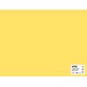 Apli Cartulina Amarillo Claro 50 x 65cm 170g 25 Hojas