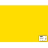 Apli Cartulina Amarilla 50 x 65cm 170g 25 Hojas