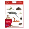 Apli Gomets Tematicos Realistas de Reptiles y Anfibios - 120 Gomets - Imagenes Realistas para Relacionar Animales - Adhesivo Rem