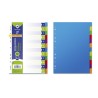 Bismark Pack de 12 Separadores - Tamaño A4 - Extragruesos - Fabricado en Propileno - Colores Surtidos