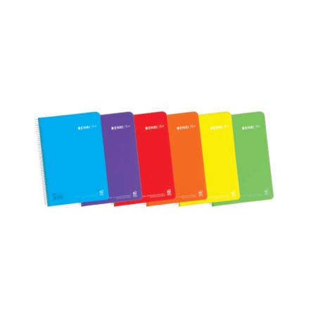 Enri Plus Cuaderno Espiral Formato Cuarto Cuadriculado 4x4mm - 80 Hojas 90gr con Margen - Cubierta de Plastico - Colores Surtido
