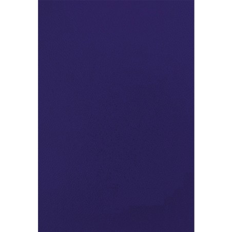 Fellowes Pack de 50 Portadas de Carton Simil Piel A4 - 750 gr - Color Azul