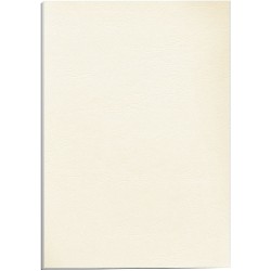 Fellowes Pack de 100 Portadas de Carton Simil Piel Delta Cuero A4 - 250 gr - Color Marfil